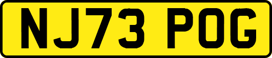 NJ73POG