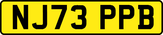 NJ73PPB