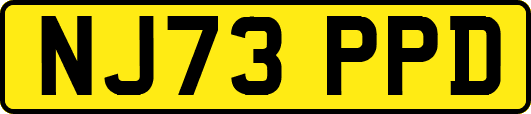 NJ73PPD