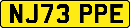 NJ73PPE