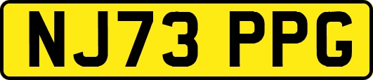 NJ73PPG