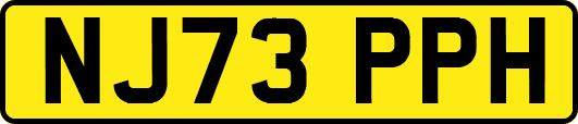 NJ73PPH