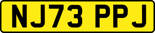 NJ73PPJ