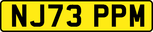 NJ73PPM