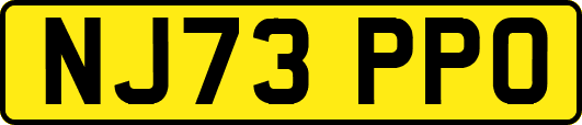 NJ73PPO