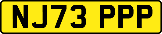 NJ73PPP