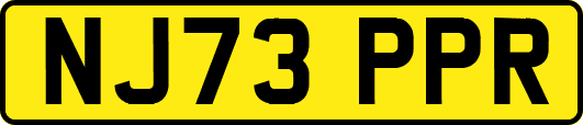 NJ73PPR