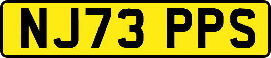 NJ73PPS