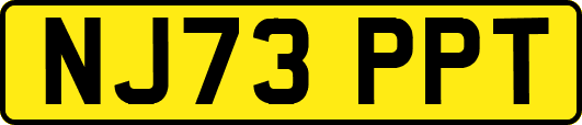 NJ73PPT