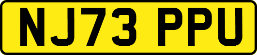 NJ73PPU