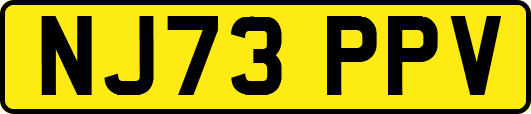 NJ73PPV