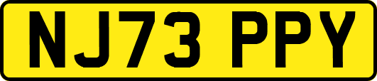 NJ73PPY