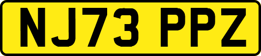 NJ73PPZ