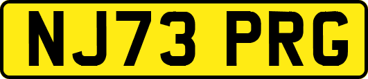 NJ73PRG