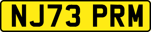 NJ73PRM
