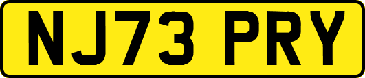 NJ73PRY