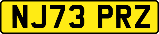 NJ73PRZ