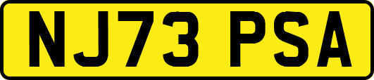 NJ73PSA
