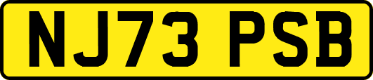 NJ73PSB