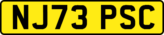 NJ73PSC