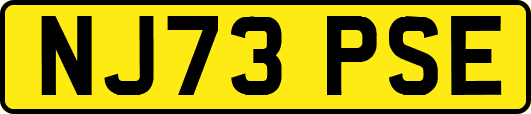 NJ73PSE