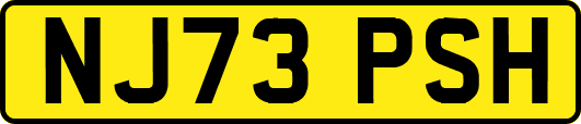 NJ73PSH