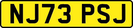NJ73PSJ