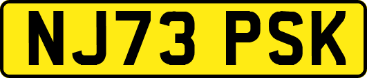 NJ73PSK