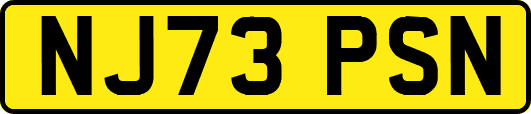 NJ73PSN