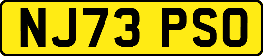 NJ73PSO