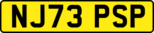 NJ73PSP