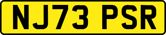 NJ73PSR