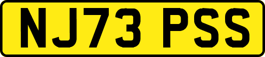 NJ73PSS
