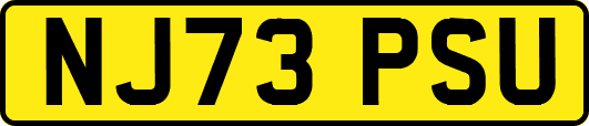 NJ73PSU