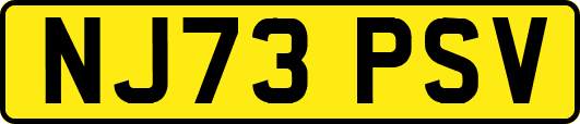 NJ73PSV