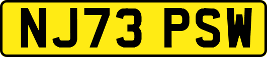 NJ73PSW