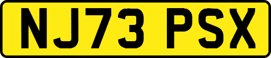 NJ73PSX