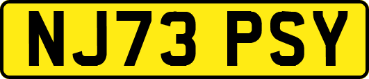 NJ73PSY