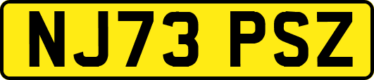 NJ73PSZ