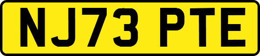 NJ73PTE