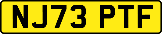 NJ73PTF