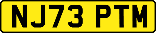 NJ73PTM