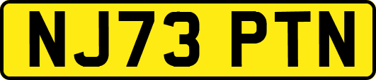NJ73PTN