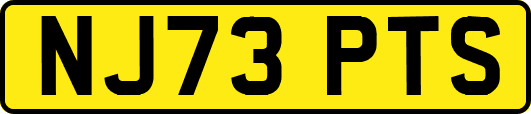 NJ73PTS