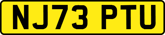 NJ73PTU