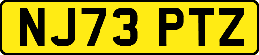 NJ73PTZ