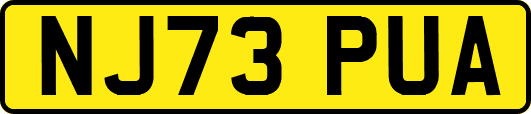 NJ73PUA