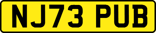 NJ73PUB