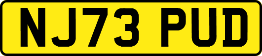 NJ73PUD