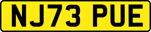 NJ73PUE
